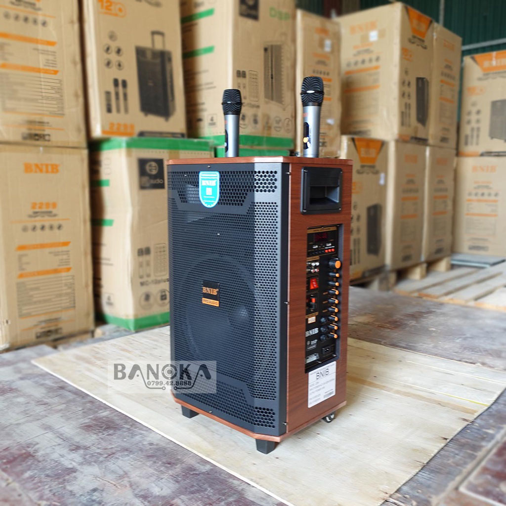 https://banoka.vn/Loa kẹo kéo karaoke bluetooth BNIB 2299 Bass 30 (7)